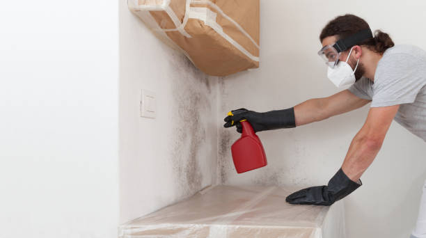 Professional Crawl Space Mold Removal technician working in Mathews, VA